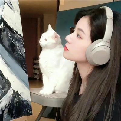迷失：消失的女人